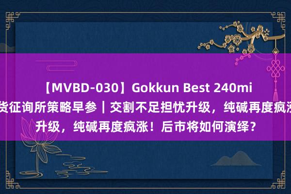 【MVBD-030】Gokkun Best 240min. 総勢12名 东吴期货征询所策略早参｜交割不足担忧升级，纯碱再度疯涨！后市将如何演绎？