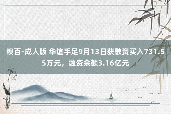 糗百-成人版 华谊手足9月13日获融资买入731.55万元，融资余额3.16亿元