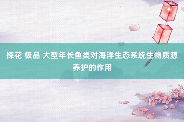 探花 极品 大型年长鱼类对海洋生态系统生物质源养护的作用