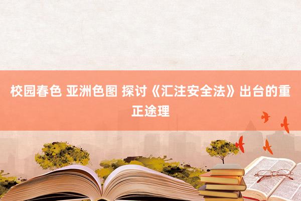 校园春色 亚洲色图 探讨《汇注安全法》出台的重正途理