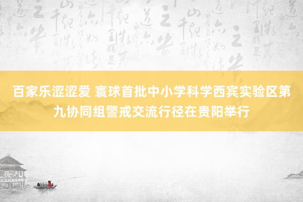 百家乐涩涩爱 寰球首批中小学科学西宾实验区第九协同组警戒交流行径在贵阳举行