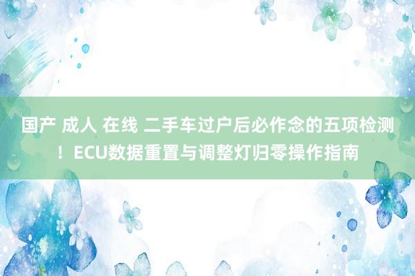 国产 成人 在线 二手车过户后必作念的五项检测！ECU数据重置与调整灯归零操作指南